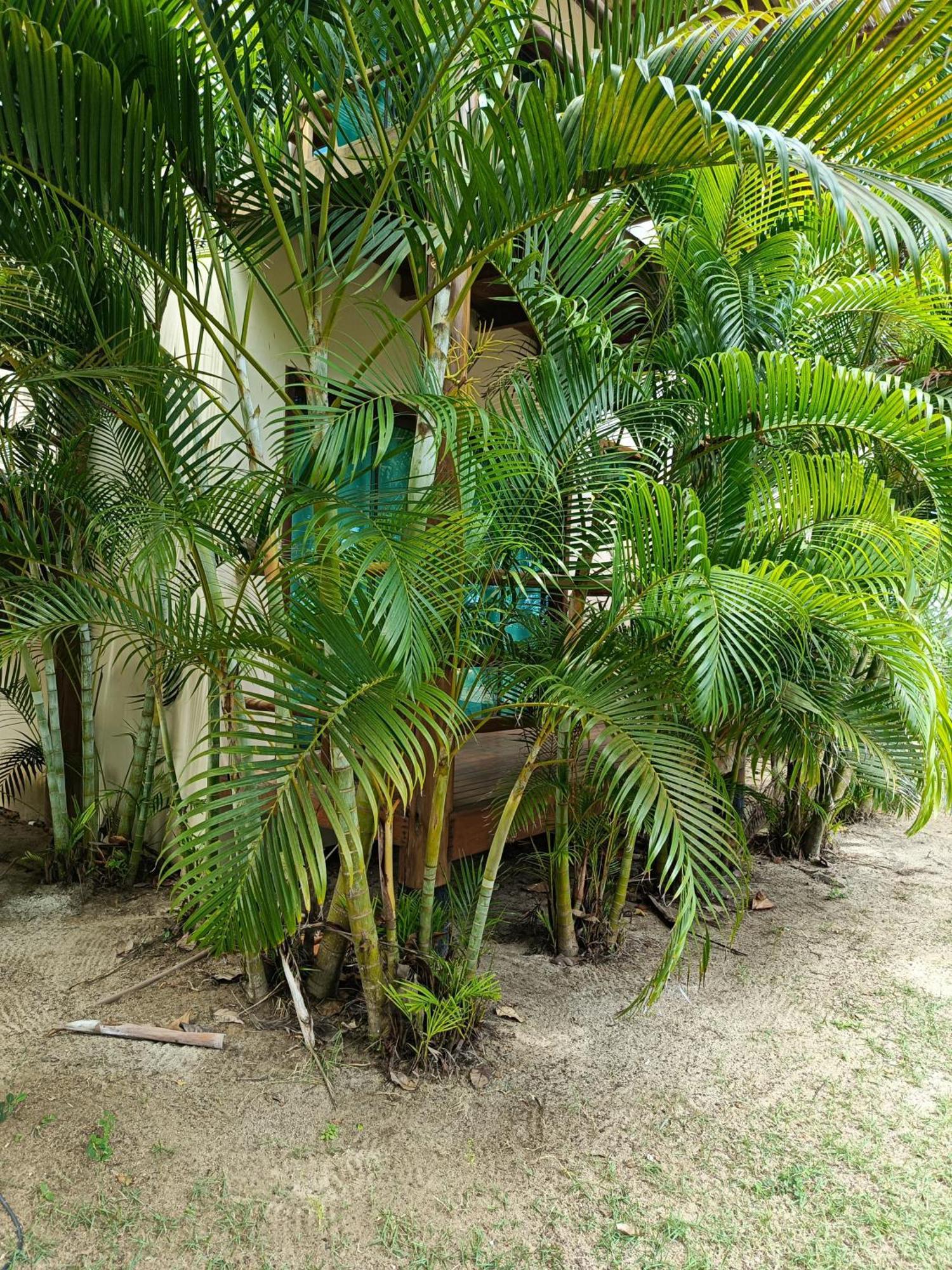 Pousada Mare Cumuruxatiba Exterior foto